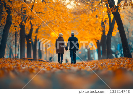 A couple strolls together on a peaceful path in a park during autumn, surrounded by warm golden leaves and trees A couple strolls together on a peaceful path in a park during autumn, surrounded by warm golden leaves and trees 133814748
