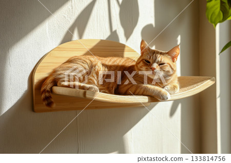 A cozy orange cat lounges on a wooden shelf, enjoying the warm sunlight in a peaceful room with green plants A cozy orange cat lounges on a wooden shelf, enjoying the warm sunlight in a peaceful room with green plants 133814756