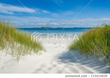 Soft white sand stretches ahead, framed by lush green grass, leading to peaceful blue waters under a bright sky 133814830