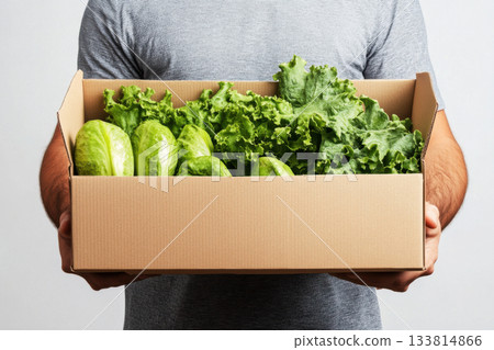Person holds a box filled with fresh lettuce and cucumbers, promoting healthy eating and sustainable food choices Person holds a box filled with fresh lettuce and cucumbers, promoting healthy eating and sustainable food choices 133814866