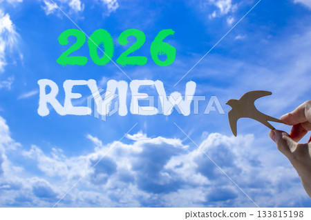2026 Review symbol. Concept words 2026 Review on beautiful blue sky. Beautiful blue sky background. Businessman's hand holds wooden bird. Business and 2026 review concept. Copy space. 133815198