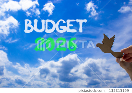 Budget 2026 symbol. Concept words Budget 2026 on beautiful blue sky. Beautiful blue sky background. Businessman's hand holds wooden bird. Business and budget 2026 concept. Copy space. 133815199