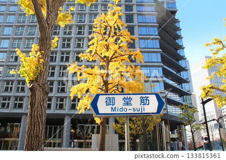 Autumn leaves of ginkgo trees lining Midosuji Boulevard and Yodoyabashi Gate Tower Autumn leaves of ginkgo trees lining Midosuji Boulevard and Yodoyabashi Gate Tower 133815361