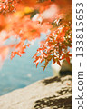秋天的風景 133815653
