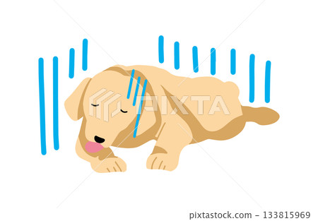 Unwell Hand-drawn illustration Dog Labrador Retriever No main lines 133815969