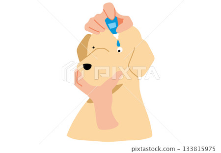 Hand-drawn illustration of a dog putting in eye drops, Labrador retriever, no main lines Hand-drawn illustration of a dog putting in eye drops, Labrador retriever, no main lines 133815975