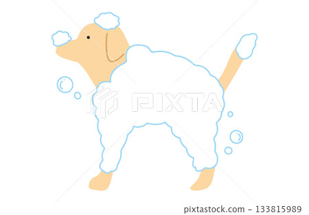 手繪插圖，描繪了一隻拉布拉多犬正在洗澡。沒有主要線條。 133815989
