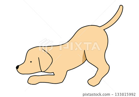 嗅聞，邀請玩耍，手繪插圖，狗，拉布拉多尋回犬，主線 133815992