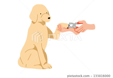 剪指甲 - 手繪拉布拉多犬插圖，無主線 133816000