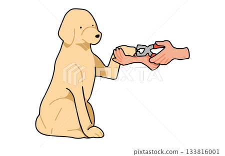 剪指甲 - 手繪拉布拉多犬插圖，主要線條 133816001