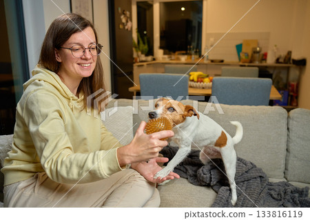 Woman playing with small dog using toy on home sofa 133816119