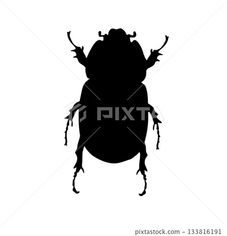 Black silhouette of a scarab beetle vector on white background. Graphic Bug insect hand drawn. Shadow May bug illustration for design element or stickers. Monochrome sign of beetle. Black silhouette of a scarab beetle vector on white background. Graphic Bug insect hand drawn. Shadow May bug illustration for design element or stickers. Monochrome sign of beetle. 133816191