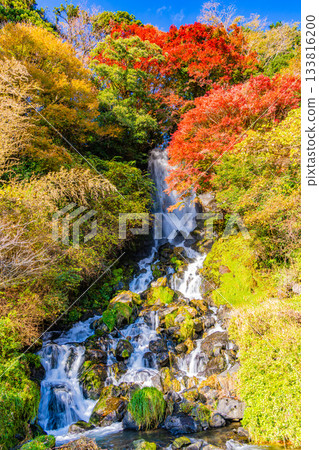 [Shizuoka Prefecture] Asahi Falls in Fujinomiya during autumn foliage season 133816200