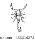 Scorpion vector engraving style. Hand drawn monochrome sketch illustration of a dangerous insect. Scorpio zodiac sign black white drawing for tattoo, t-shirt print or biological education design. 133816278