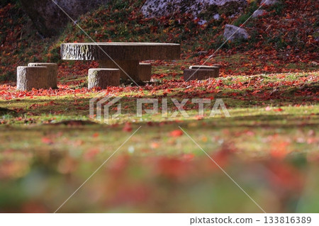 A stone rest area with sunlight streaming in A stone rest area with sunlight streaming in 133816389