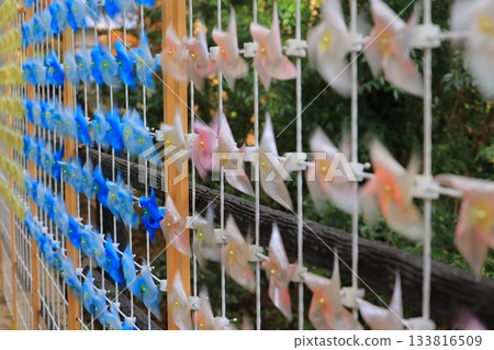 Fragrant Wind Flower Windmill Fragrant Wind Flower Windmill 133816509