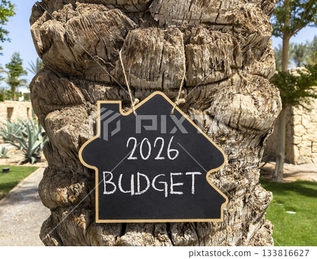 2026 Budget symbol. Concept words 2026 Budget on beautiful black blackboard. Beautiful palm tree palm-tree background. Business and 2026 budget concept. Copy space. 2026 Budget symbol. Concept words 2026 Budget on beautiful black blackboard. Beautiful palm tree palm-tree background. Business and 2026 budget concept. Copy space. 133816627
