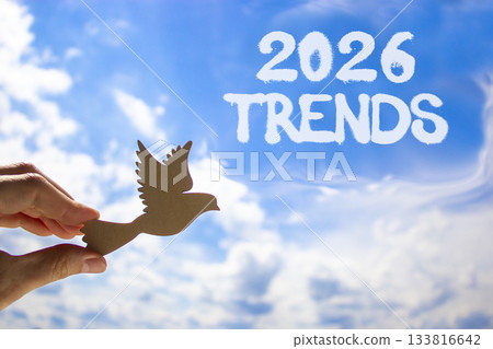 2026 Trends new year symbol. Concept words 2026 Trends on beautiful blue sky. Beautiful blue sky background. Businessman's hand holds wooden bird. Business and 2026 Trends new year concept. Copy space 133816642