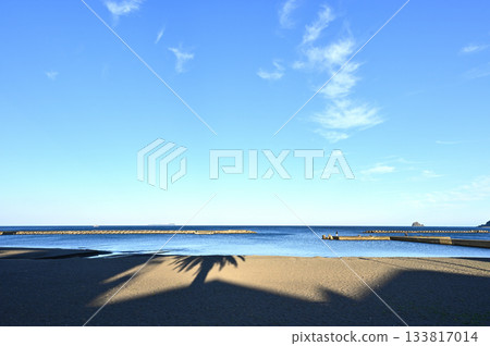 伊藤橙海灘的棕櫚樹剪影 伊藤橙海灘的棕櫚樹剪影 133817014