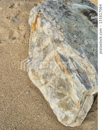 rock and sea shore. White boulder on the sand of a bulgarian beach.Close-up of rock on beach sand. Geological detail on the black sea coast 133817064