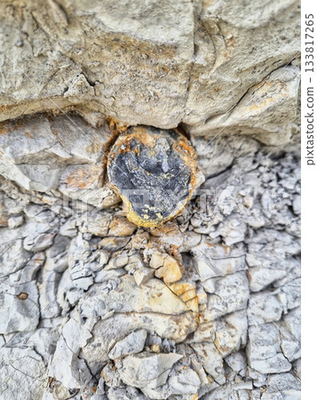 rock and sea shore. White boulder on the sand of a bulgarian beach.Close-up of rock on beach sand. Geological detail on the black sea coast 133817265