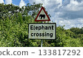 A romantic daytime shot of a road sign warning of elephants 133817292