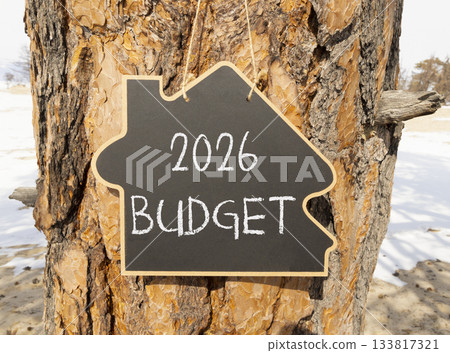 2026 Budget symbol. Concept words 2026 Budget on beautiful black blackboard. Beautiful old tree and sand background. Business and 2026 budget concept. Copy space. 133817321