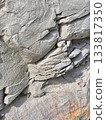 stone wall texture background. White rock formation in Bulgaria. Geological texture. White Cliffs. Natural cracks in light grey stone 133817350