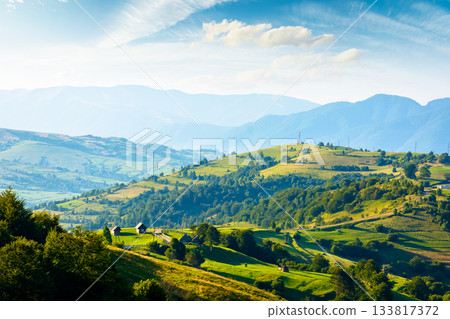 mountainous countryside landscape with rolling hills on summer morning. rural area of mizhhirya district. beautiful view of place with green grassy pastures in carpathian mountains of ukraine 133817372