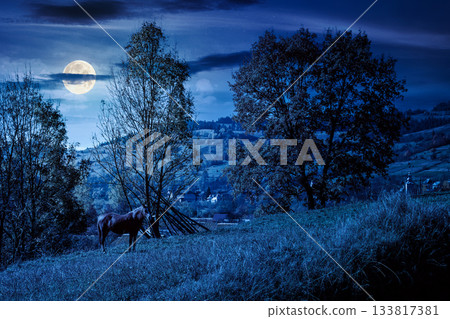 brown horse grazing on lush field at night. serene rural landscape in full moon light. mountains alpine scenery during autumn. backdrop for sustainability fiction art or conservation mystery concepts brown horse grazing on lush field at night. serene rural landscape in full moon light. mountains alpine scenery during autumn. backdrop for sustainability fiction art or conservation mystery concepts 133817381