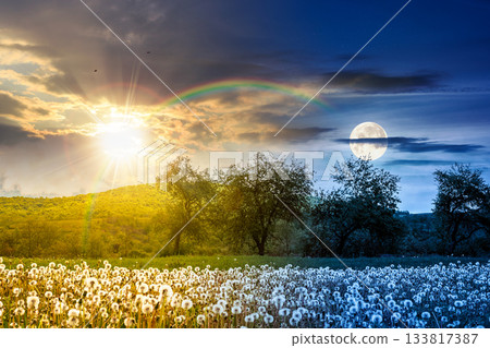 rural landscape with blooming dandelion field on spring equinox. day and night time change concept. agriculture countryside with mountain under sun and moon. farmland orchard in springtime weather rural landscape with blooming dandelion field on spring equinox. day and night time change concept. agriculture countryside with mountain under sun and moon. farmland orchard in springtime weather 133817387