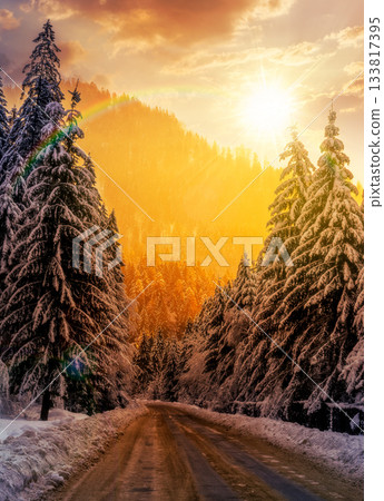 winter mountain landscape at sunset. road that leads into the spruce forest covered with snow in evening light. vertical storytelling cinematic image under the rainbow 133817395