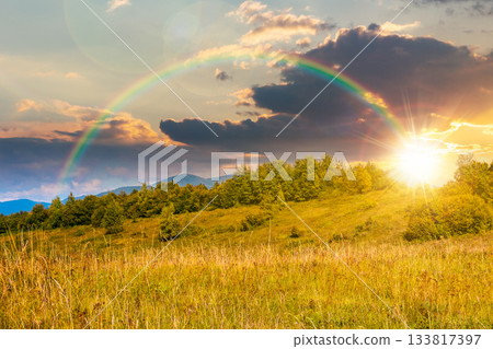 mountain landscape with foliage forest in autumn at sunset. beautiful beech woodland on rolling hills in highland under cloudy sky in evening light. environment storytelling image under the rainbow mountain landscape with foliage forest in autumn at sunset. beautiful beech woodland on rolling hills in highland under cloudy sky in evening light. environment storytelling image under the rainbow 133817397
