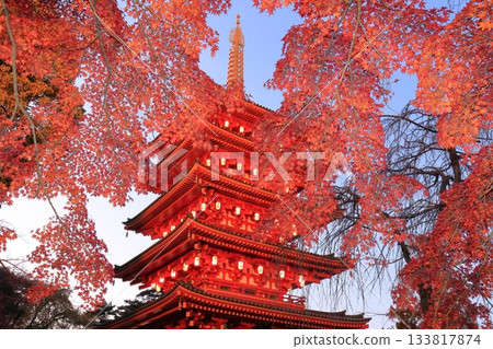日野市高畑不動寺：五重塔與秋葉燈光秀 133817874