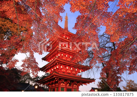 日野市高畑不動寺：五重塔與秋葉燈光秀 133817875