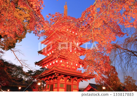 日野市高畑不動寺：五重塔與秋葉燈光秀 133817883