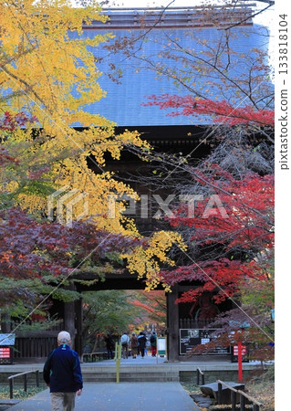 Autumn leaves at Kuhonbutsu Joshinji Temple in Setagaya Ward, Tokyo 133818104