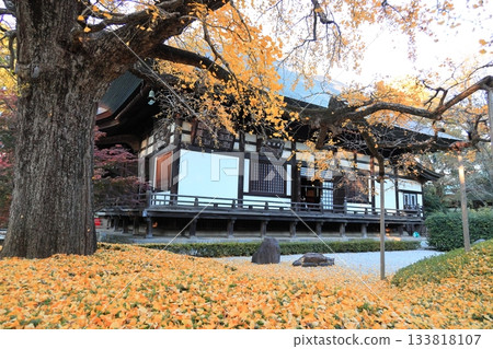 東京世田谷區九本佛上心寺的秋葉 133818107