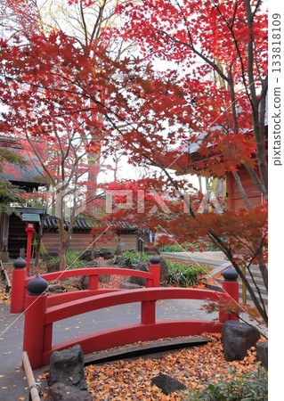 東京世田谷區九本佛上心寺的秋葉 133818109