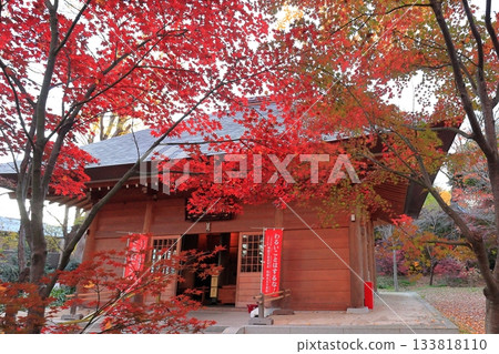 東京世田谷區九本佛上心寺的秋葉 133818110