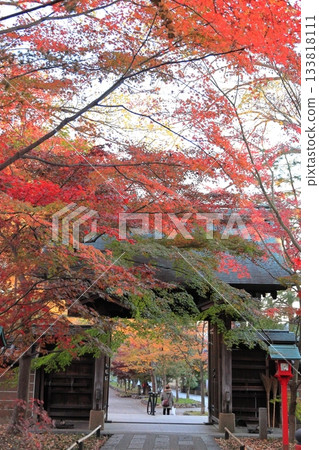 東京世田谷區九本佛上心寺的秋葉 東京世田谷區九本佛上心寺的秋葉 133818111