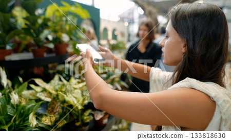 A Journey of Discovering Indoor Plants A Woman Captures the True Beauty of Natures Splendor A Journey of Discovering Indoor Plants A Woman Captures the True Beauty of Natures Splendor 133818630