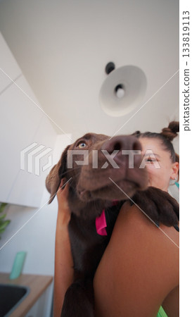A Joyful Moment Spent with a Chocolate Labrador in a Beautiful and Bright Kitchen Space 133819113