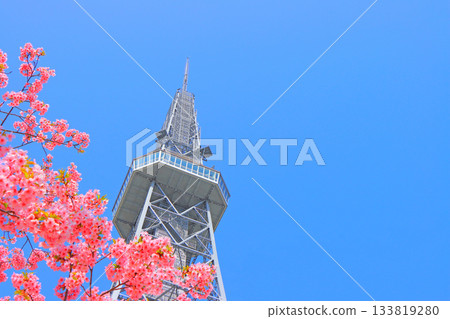 愛知縣名古屋市河津櫻花和名古屋電視塔的風景 愛知縣名古屋市河津櫻花和名古屋電視塔的風景 133819280