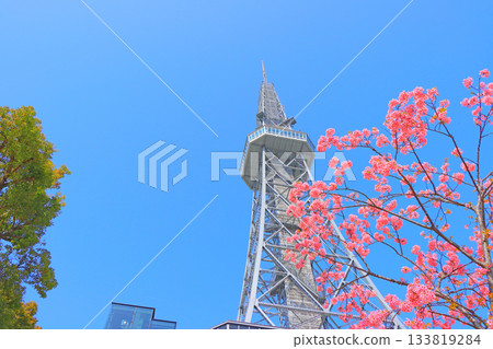 愛知縣名古屋市河津櫻花和名古屋電視塔的風景 愛知縣名古屋市河津櫻花和名古屋電視塔的風景 133819284