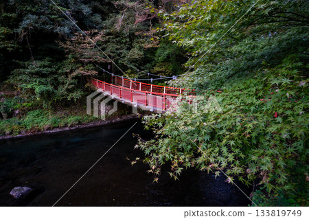 菊池溪谷步道上的紅橋 菊池溪谷步道上的紅橋 133819749