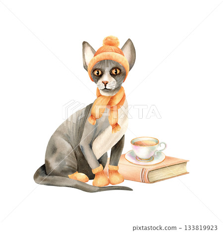Sphynx cat in warm clothes. Hairless kitty in knitted hat, scarf, socks is sitting in front of book, cup of tea. Watercolor isolated character illustration. Vintage style, winter, autumn cozy clipart 133819923