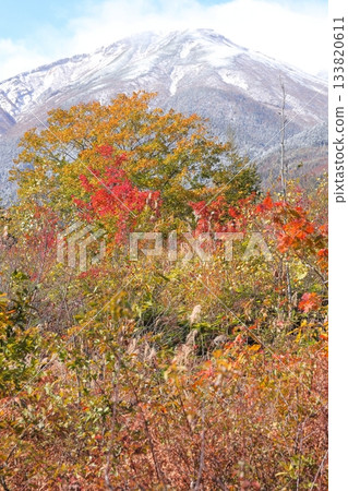 [Nagano Prefecture] Norikura Highlands and Ichinose Park 133820611