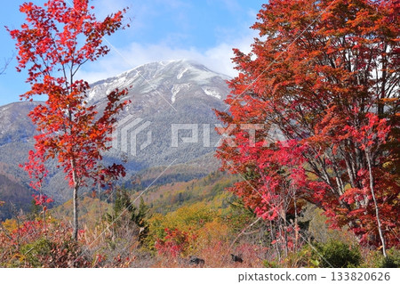 [Nagano Prefecture] Norikura Highlands and Ichinose Park 133820626