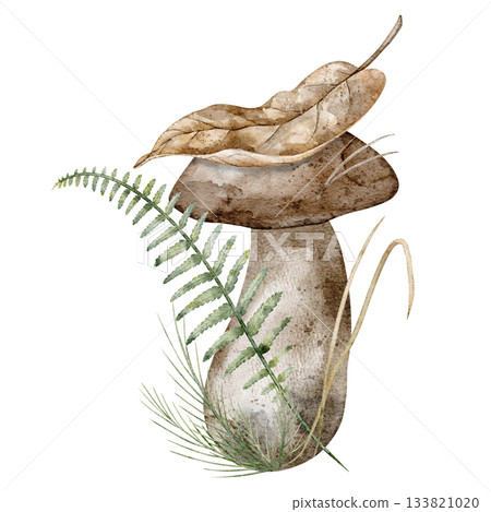 Watercolor illustration of boletus Mushroom with fern, dry leaf and grass. Drawing of autumn woodland botanical elements for seasonal greeting card or invitation. Art of Fungus on isolated background. Watercolor illustration of boletus Mushroom with fern, dry leaf and grass. Drawing of autumn woodland botanical elements for seasonal greeting card or invitation. Art of Fungus on isolated background. 133821020